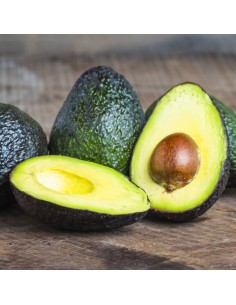Aguacate Lamb Hass