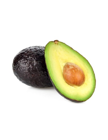 Aguacate Hass