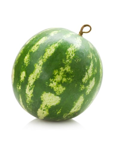 Sandía Rayada - Caja 2u. -12 Kg....