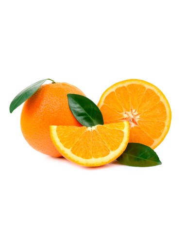 Naranja Valencia Late