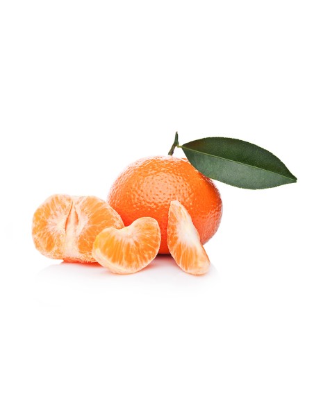 Mandarina Clemenules