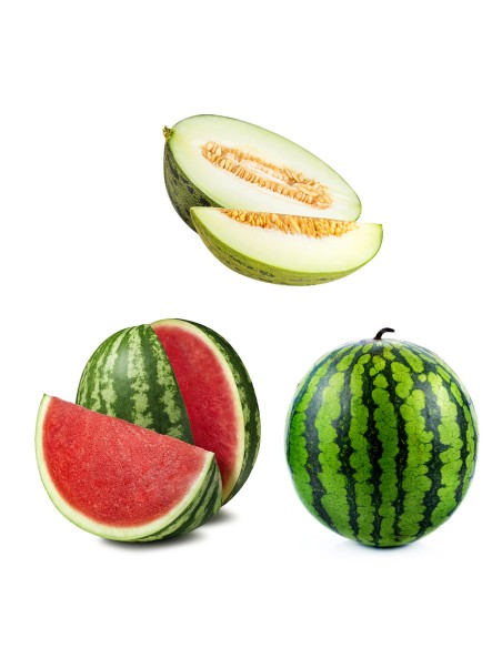 Caja Mixta 12kg. de melón y una sandía rayada, exclusivo de Xilxes. Envio gratuito.