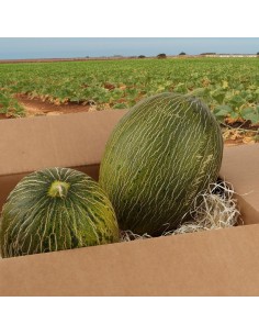 Melón piel de sapo, - Caja...