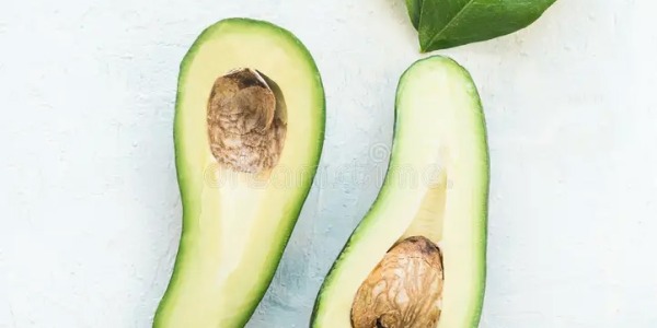 ¿Cómo plantar un hueso de aguacate?