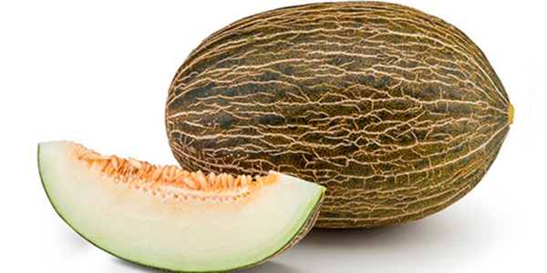 Tu recetario quiere que agregues esta deliciosa sopa de melón a tu repertorio. 